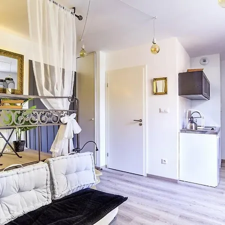 L'entracte Strasbourgeoise - Au Coeur De La Petite France Appartement