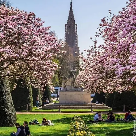 L'entracte Strasbourgeoise - Au Coeur De La Petite France アパート
